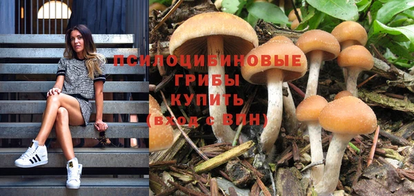 спиды Гусь-Хрустальный