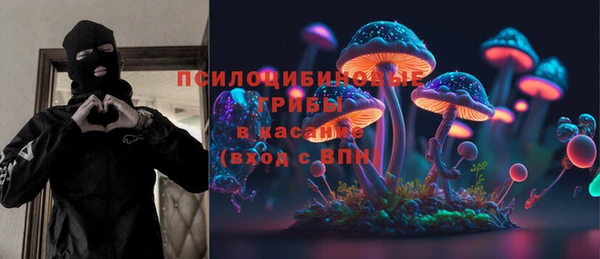 прущие крисы Гусев
