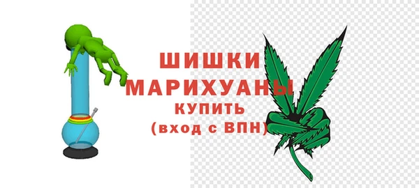 spice Гусиноозёрск