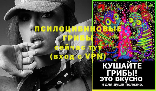 спиды Гусь-Хрустальный