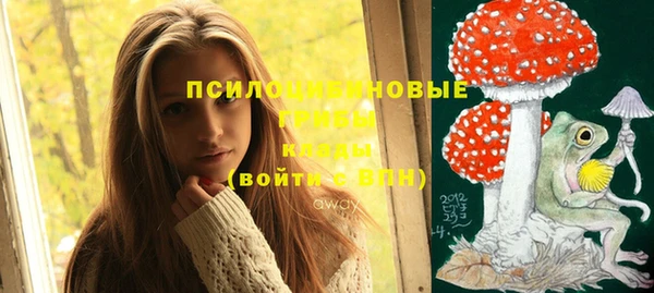 spice Гусиноозёрск