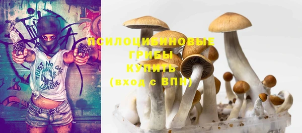 spice Гусиноозёрск