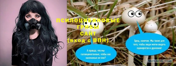 mdma Горняк