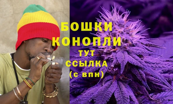 прущие крисы Гусев