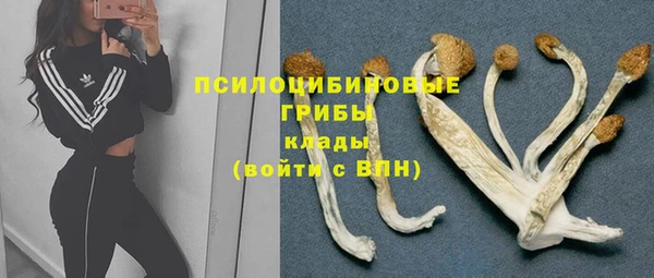 прущие крисы Гусев