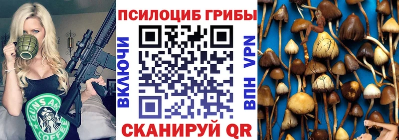Псилоцибиновые грибы MAGIC MUSHROOMS  Купить  Мамадыш 